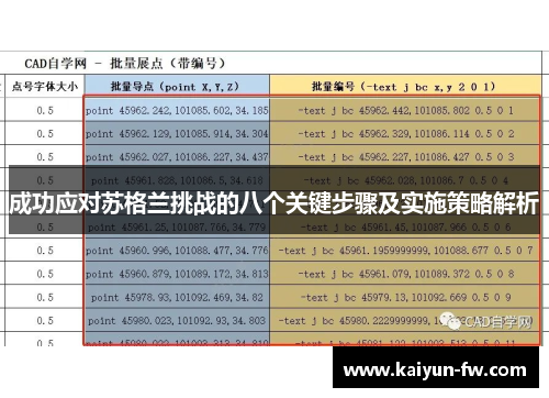 成功应对苏格兰挑战的八个关键步骤及实施策略解析