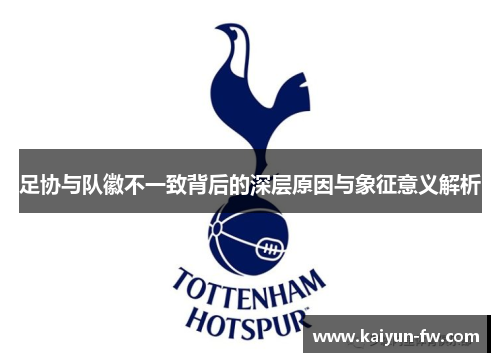 足协与队徽不一致背后的深层原因与象征意义解析
