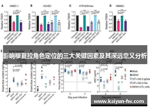 影响穆夏拉角色定位的三大关键因素及其深远意义分析